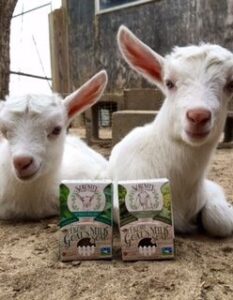 Soap Making Terms and Tools Image